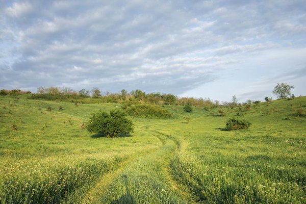 Caenlamerbylespremieres